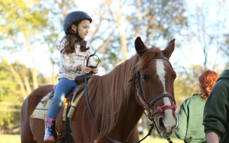 Kid riding a horse